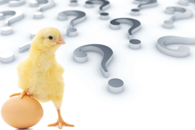 Nếu hiểu trứng gà là quả trứng chứa phôi gà, thì trứng gà có trước con gà đầu tiên.