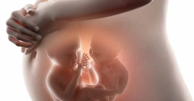 Hình ảnh mang thai đôi trong mơ thường được xem là biểu tượng của cơ hội nhân đôi hoặc nhiều lựa chọn cùng lúc.